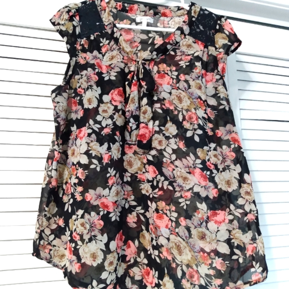 Lg Sheer Blouse